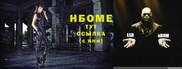 трава Аркадак