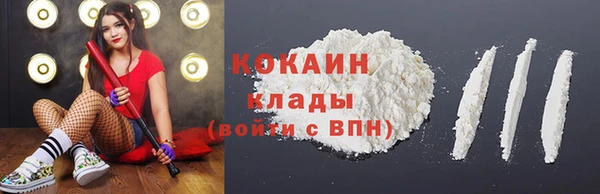 трава Аркадак